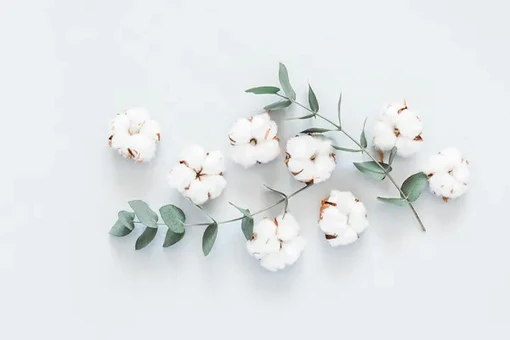 Ortopedický matrac SWITZERLAND PREMIUM PLUS